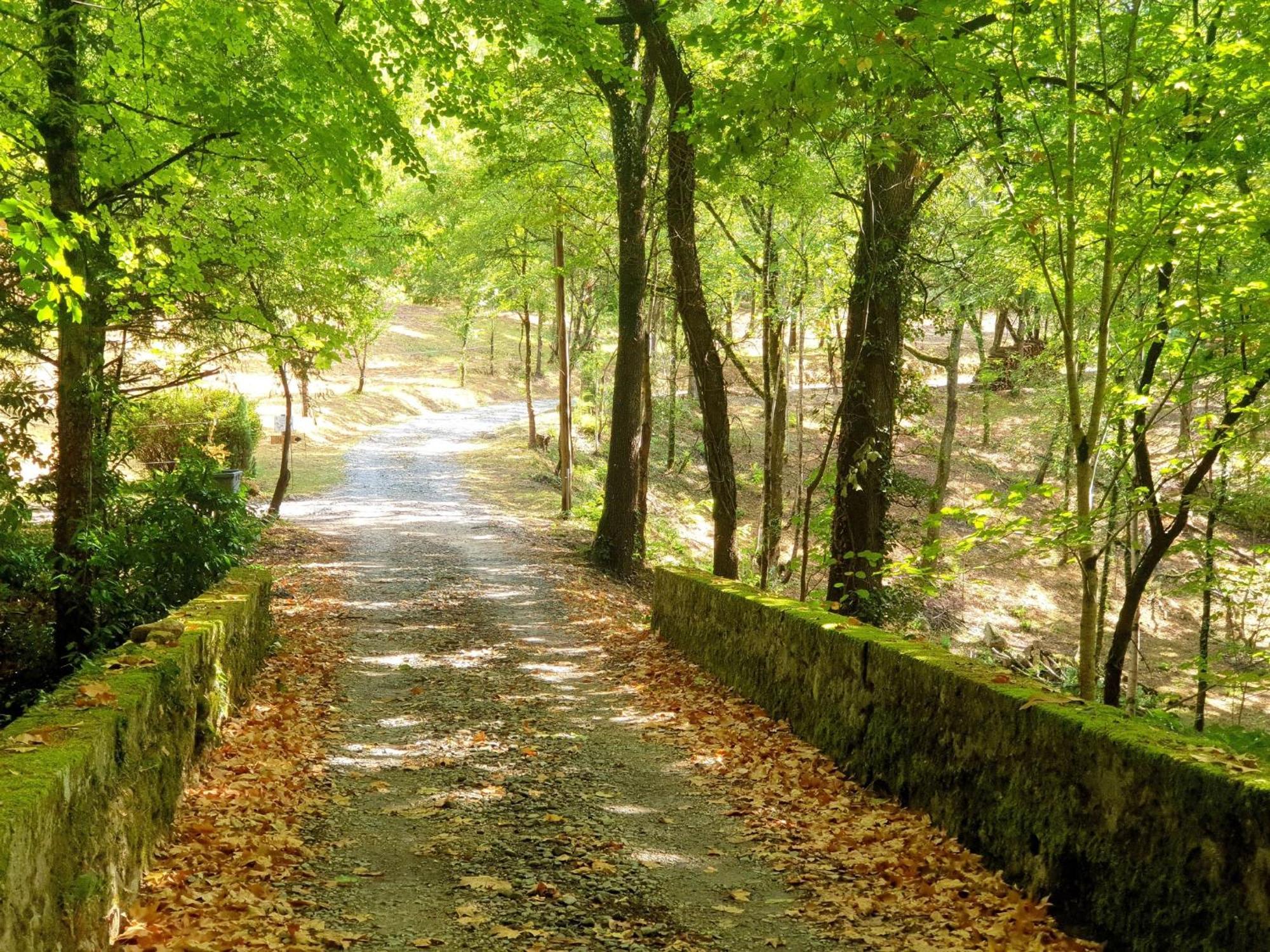 Port-Sainte-Marie Le Nid - Maison Dans Les Bois Avec Cheminee Et Vue 빌라 외부 사진